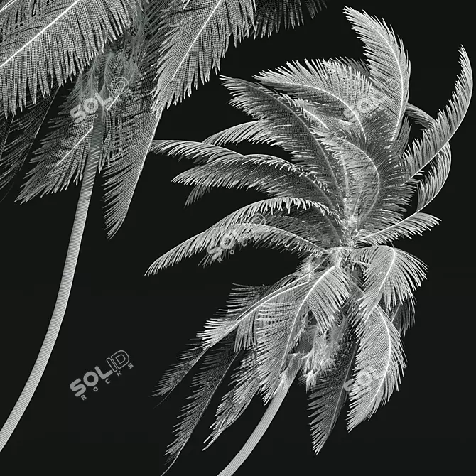 Lush Coconut Tree 3D Model 3D model image 3