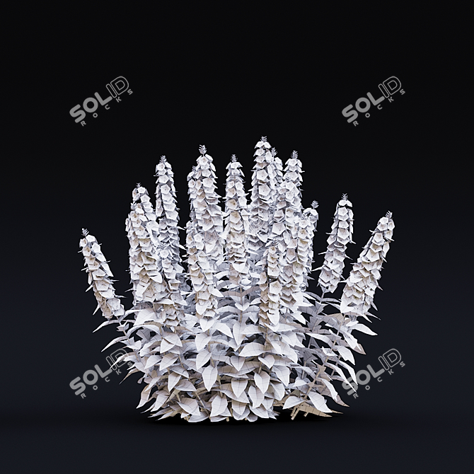 Lysimachia Punctata Floral Models 3D model image 2