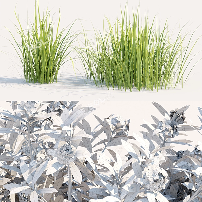Oleander Grass Garden Model_RENDER_READY 3D model image 7