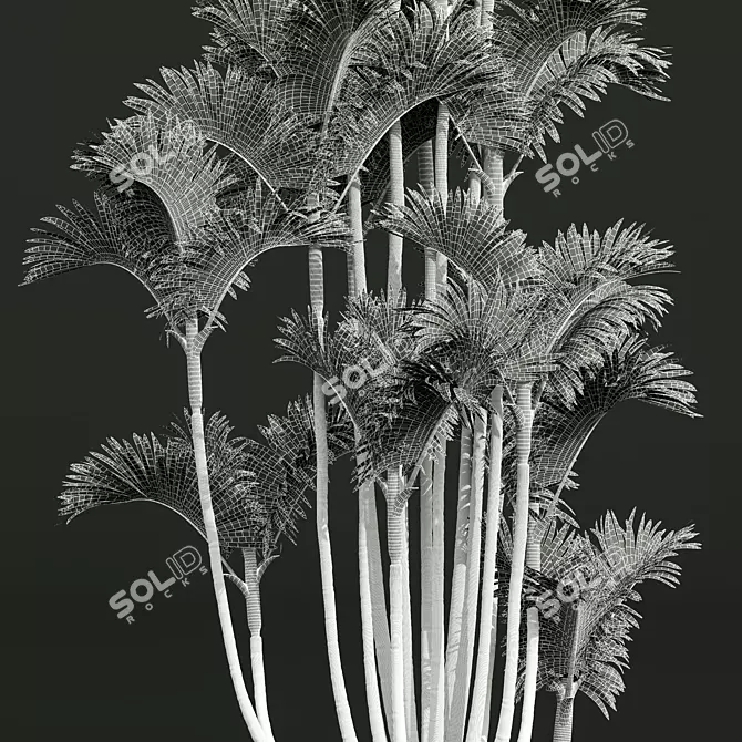 Exquisite Cyrtostachys Renda Palm Model 3D model image 4