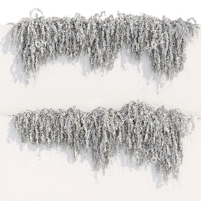 Modern Hanging Wall Plants Collection 3D model image 4