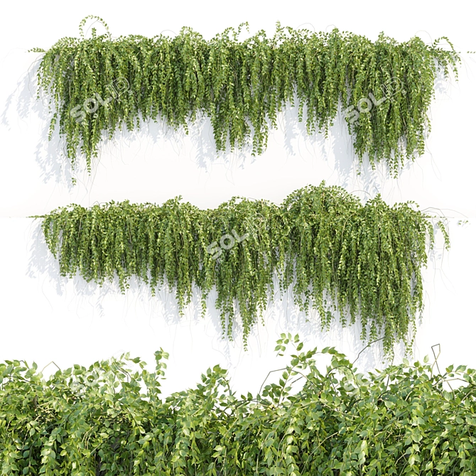 Modern Hanging Wall Plants Collection 3D model image 5