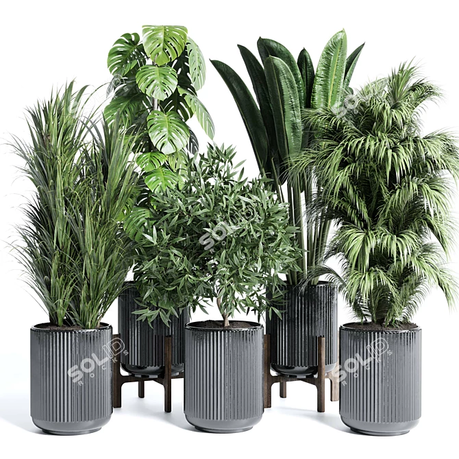 Modern Indoor Plant Collection Set 3D model image 1