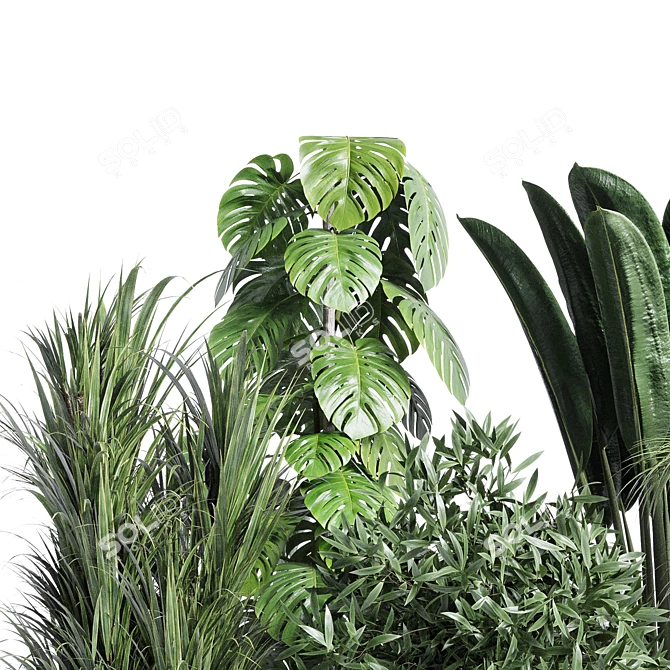 Modern Indoor Plant Collection Set 3D model image 3