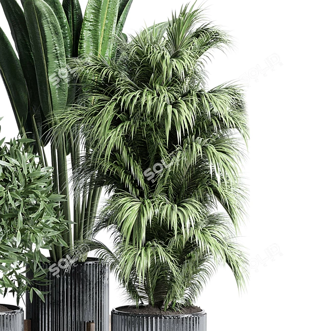 Modern Indoor Plant Collection Set 3D model image 4