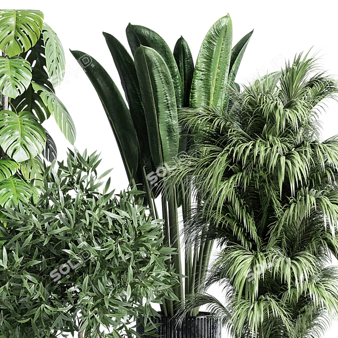 Modern Indoor Plant Collection Set 3D model image 5