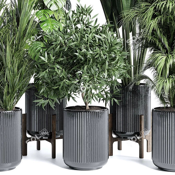 Modern Indoor Plant Collection Set 3D model image 6