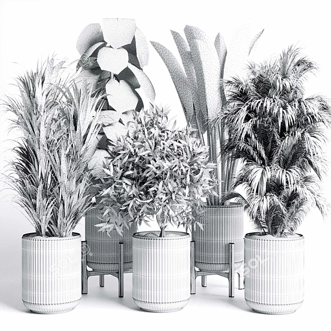 Modern Indoor Plant Collection Set 3D model image 7