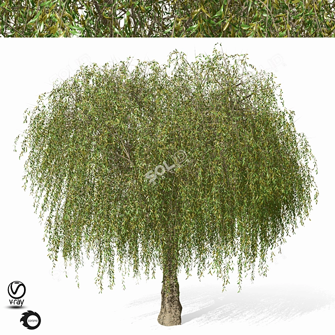 Giant Tree Model - 1150cm 3D model image 1