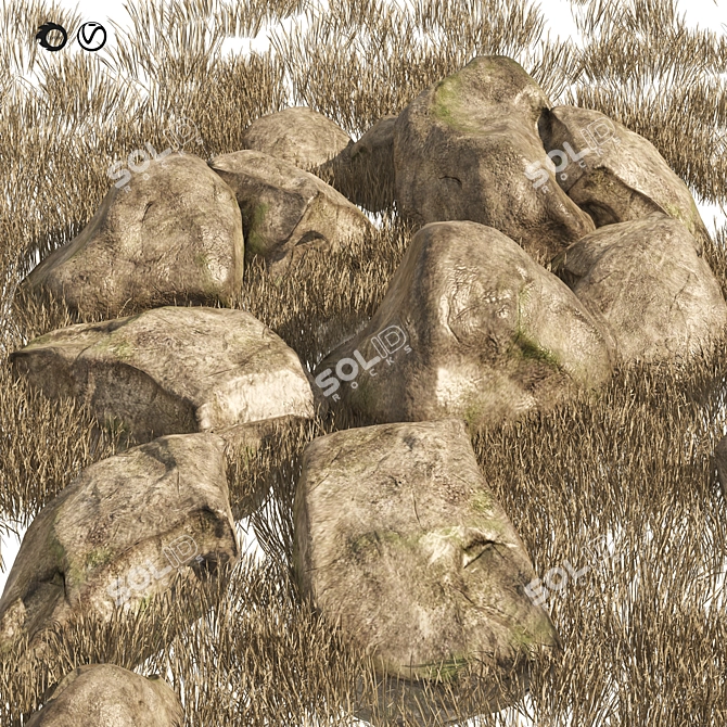 Granite Rock Stones 3D Model 3D model image 5