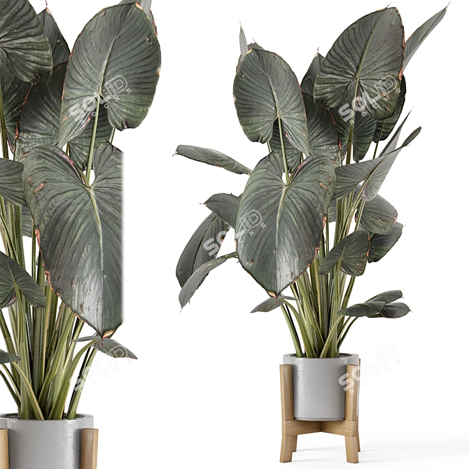 Rustic Indoor Plants Set 890 3D model image 1