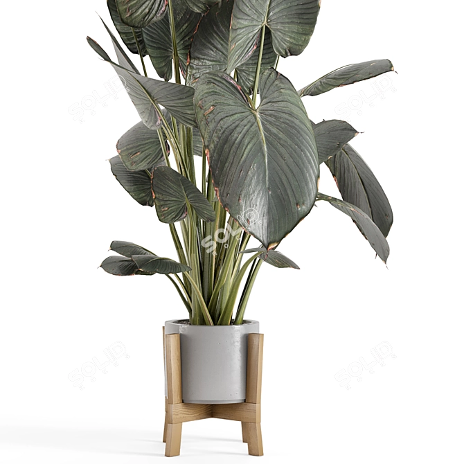 Rustic Indoor Plants Set 890 3D model image 3