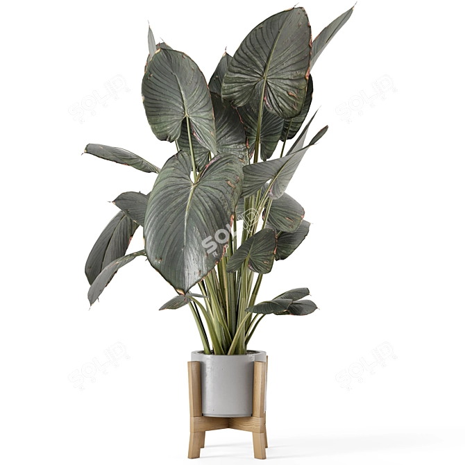 Rustic Indoor Plants Set 890 3D model image 4