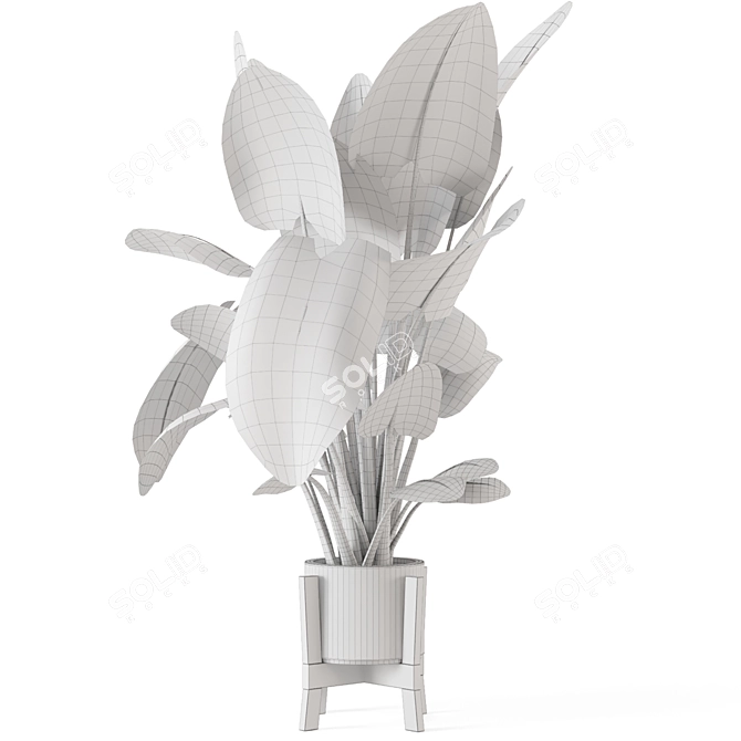 Rustic Indoor Plants Set 890 3D model image 5