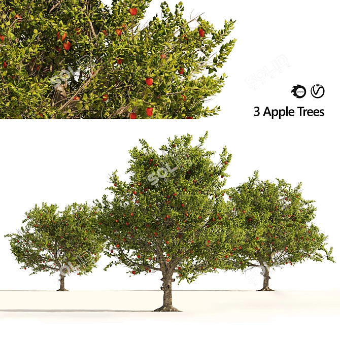 3D Apple Tree Models Set 3D model image 1