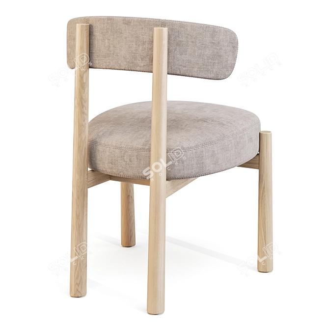 Coedition Dalya Dining Chair 3D model image 3