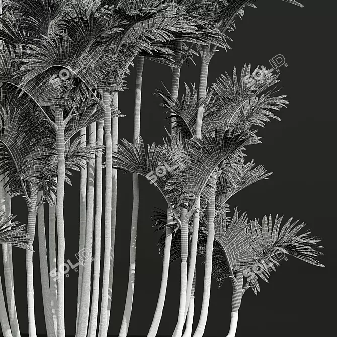 Lipstick Palm 3D Plant Model 3D model image 5
