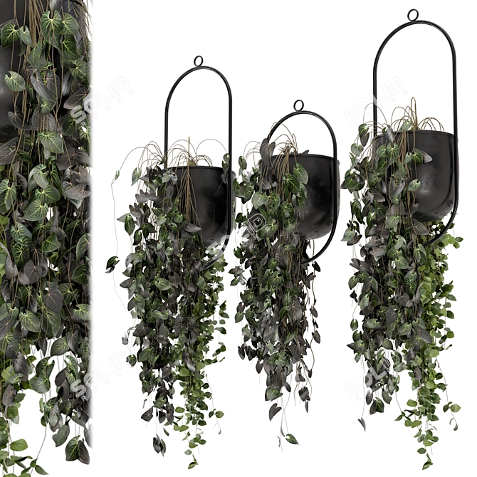 Metal Vase Hanging Plants Set 3D model image 1