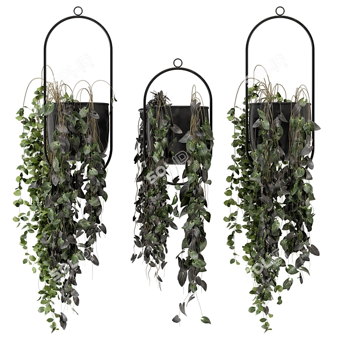 Metal Vase Hanging Plants Set 3D model image 2