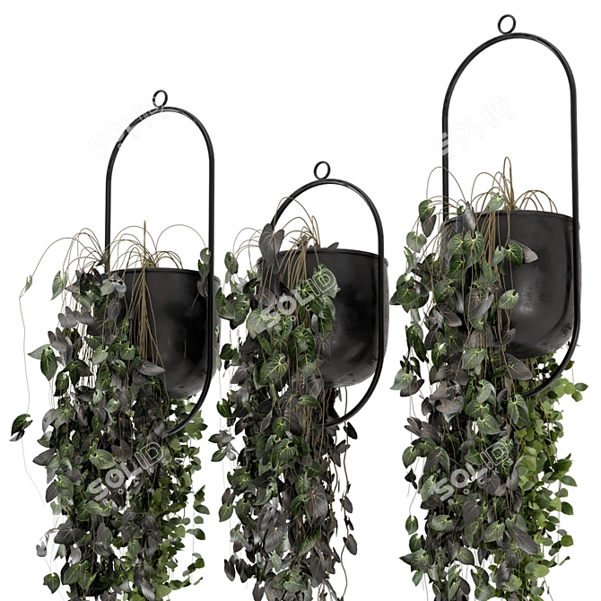 Metal Vase Hanging Plants Set 3D model image 3