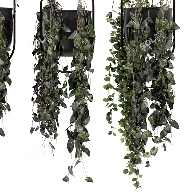 Metal Vase Hanging Plants Set 3D model image 4