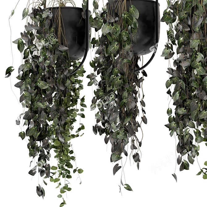 Metal Vase Hanging Plants Set 3D model image 5