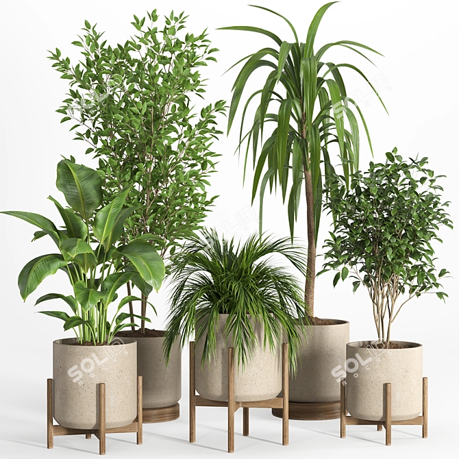 Modern Indoor Plant Set 029 3D model image 2