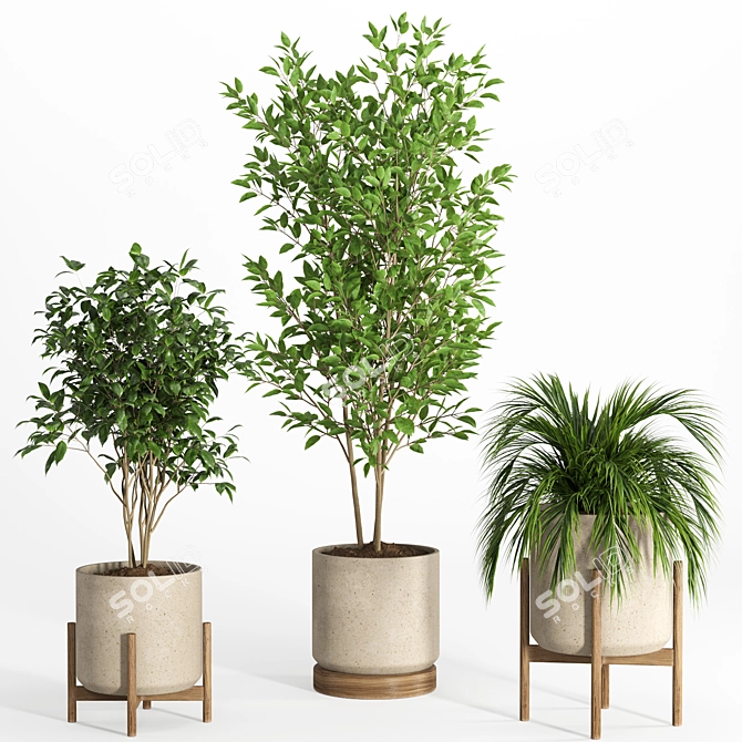 Modern Indoor Plant Set 029 3D model image 3