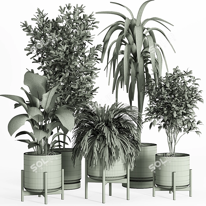 Modern Indoor Plant Set 029 3D model image 1