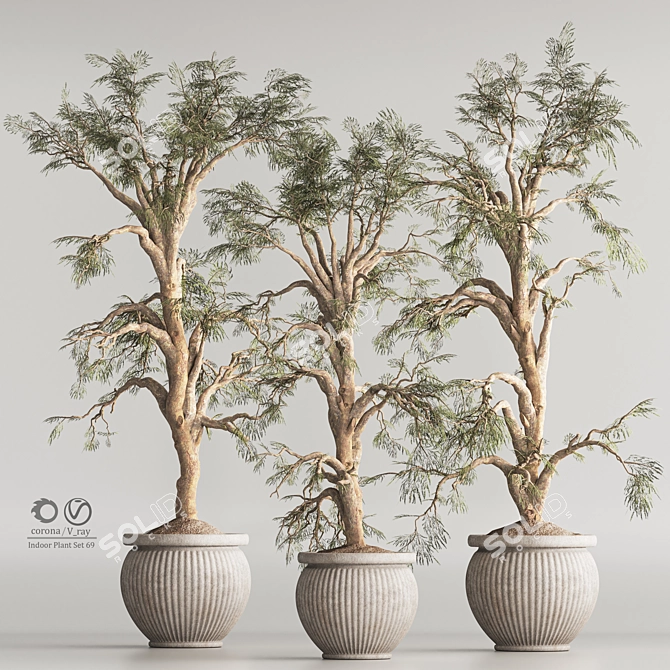 Modern Indoor Plant Set 69 3D model image 1