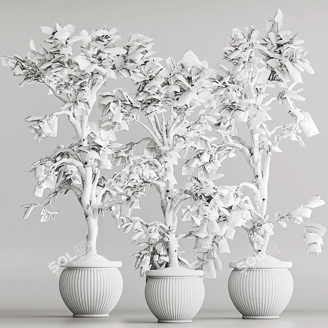 Modern Indoor Plant Set 69 3D model image 7