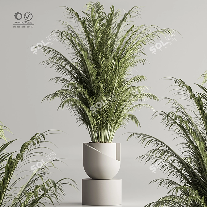 Botanical Greenery Collection 71 3D model image 1