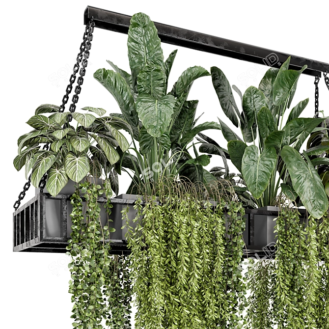 Modern Metal Box Hanging Plants 3D model image 2