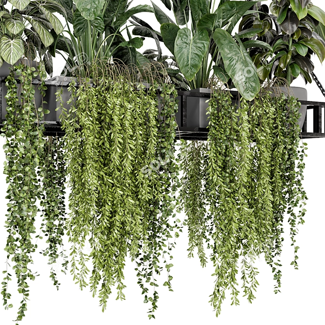 Modern Metal Box Hanging Plants 3D model image 4