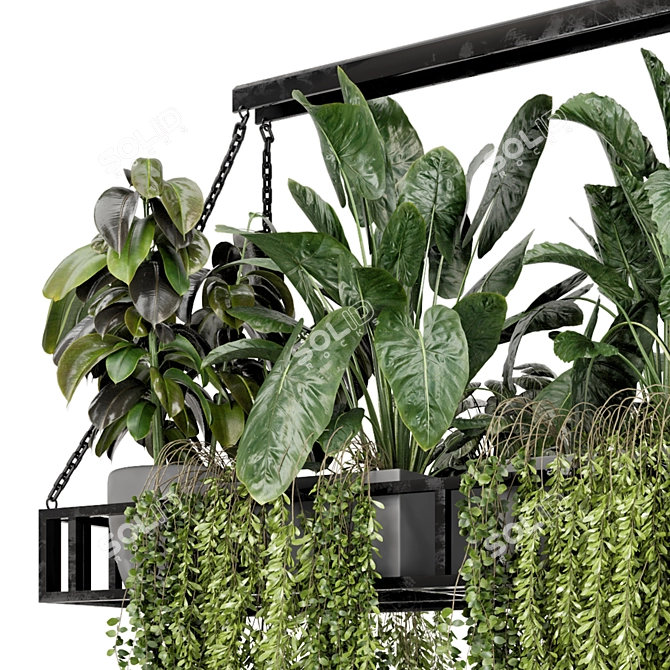 Modern Metal Box Hanging Plants 3D model image 5