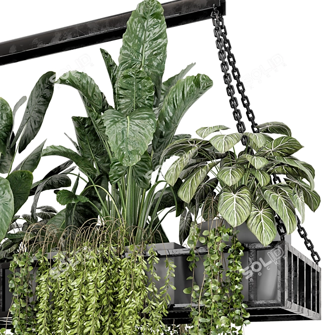 Modern Metal Box Hanging Plants 3D model image 6