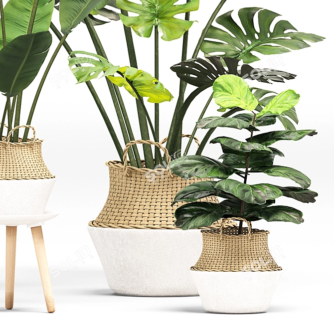 Greenery Essence 3D Indoor Plant 3D model image 3