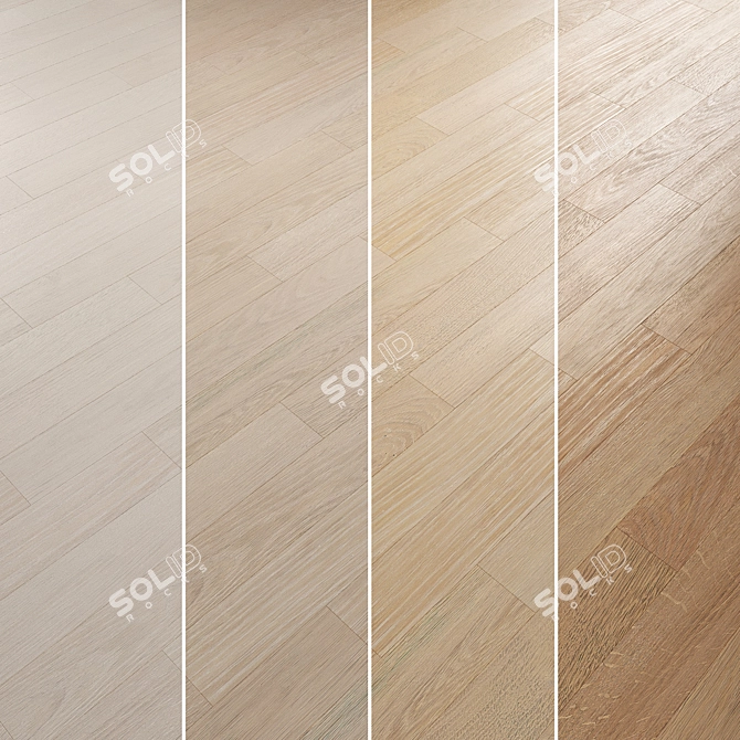 Oak Parquet Flooring Collection 3D model image 2