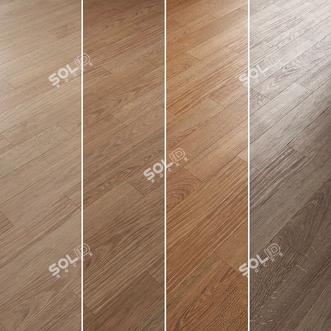 Oak Parquet Flooring Collection 3D model image 3