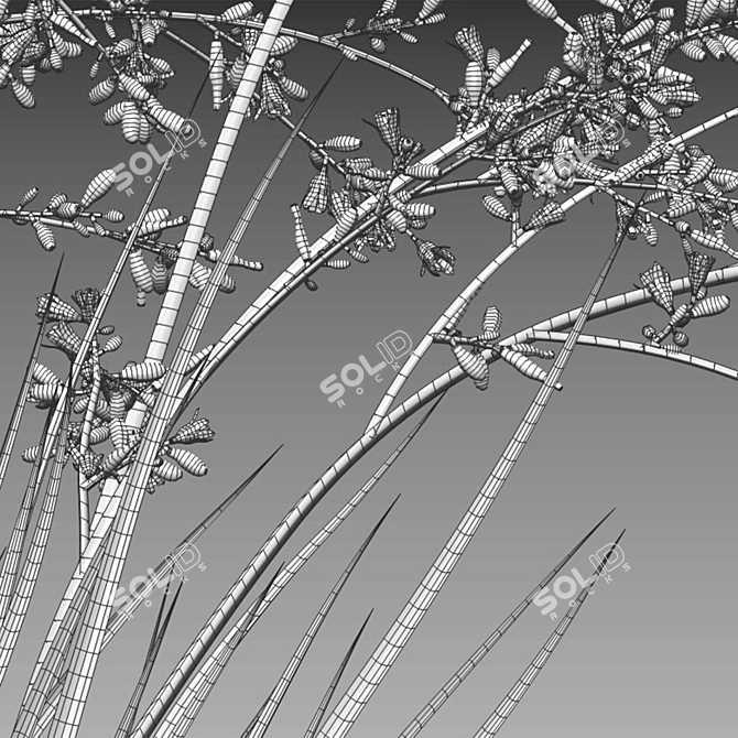 Complete 3D Plant Models Solution 3D model image 7