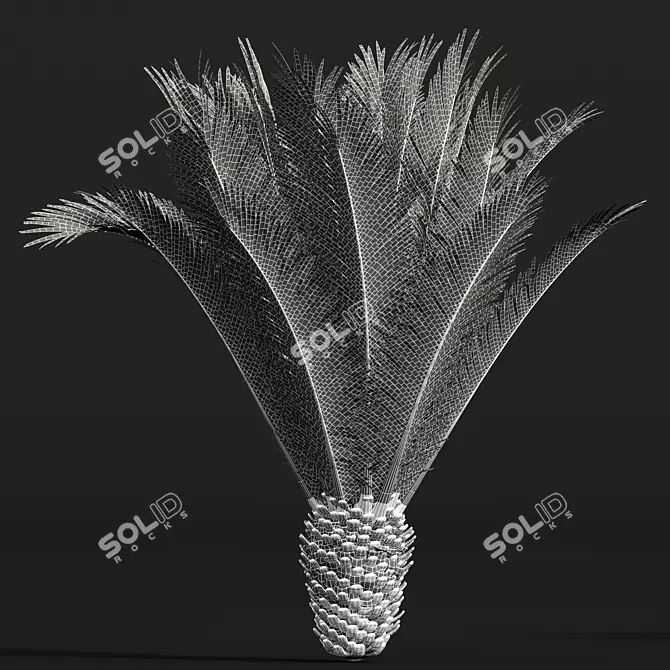 Canary Palm 3D Model Collection 3D model image 5