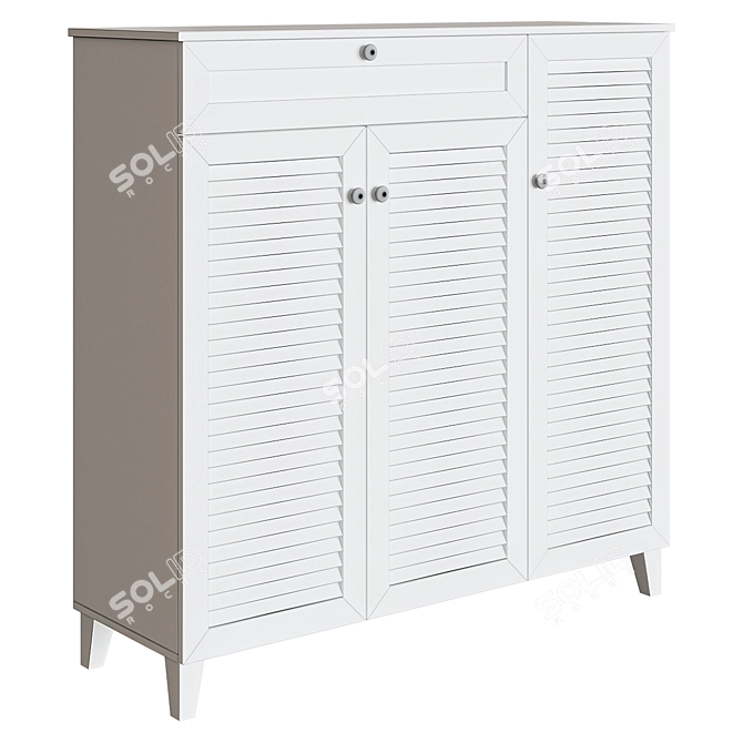 Geir 21 Pair Shoe Cabinet 3D model image 2