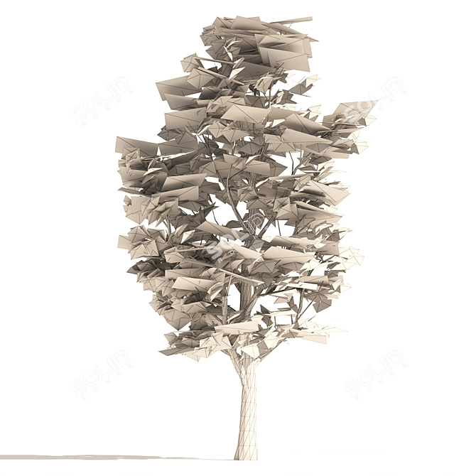 London Plane Street Trees Collection 3D model image 7