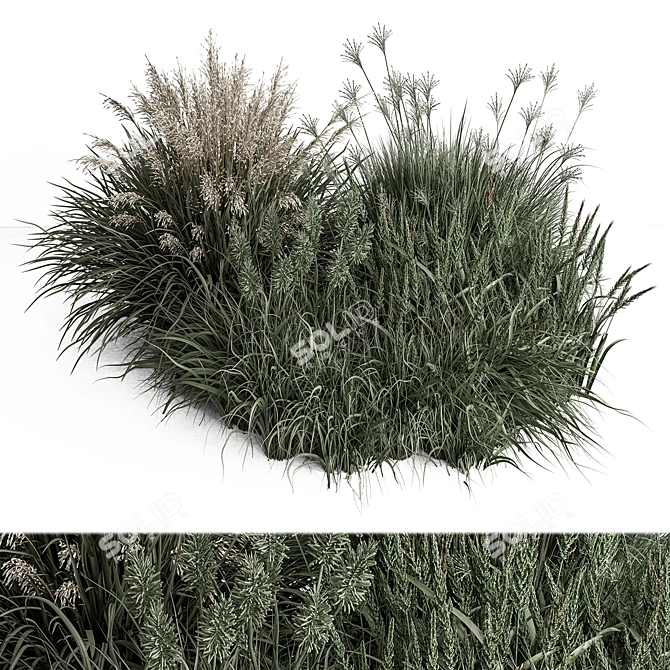 Assorted Bush Variety Collection 94 3D model image 1