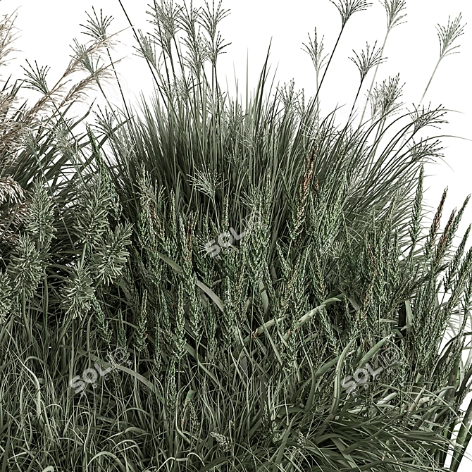 Assorted Bush Variety Collection 94 3D model image 2