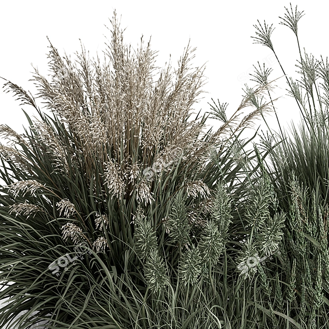 Assorted Bush Variety Collection 94 3D model image 3