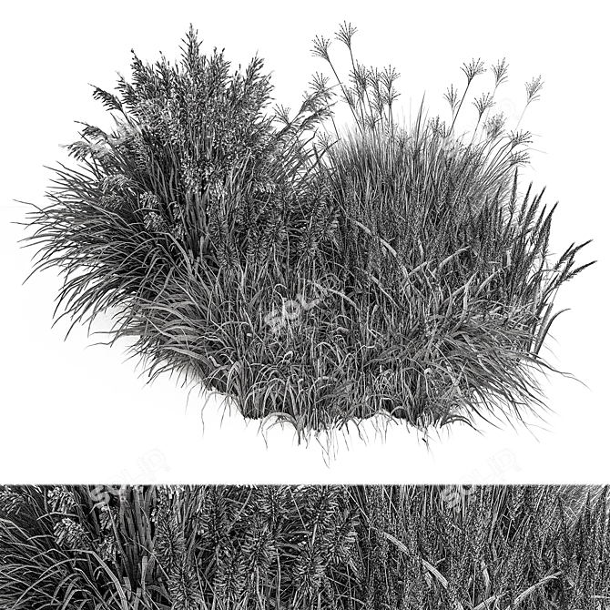 Assorted Bush Variety Collection 94 3D model image 4