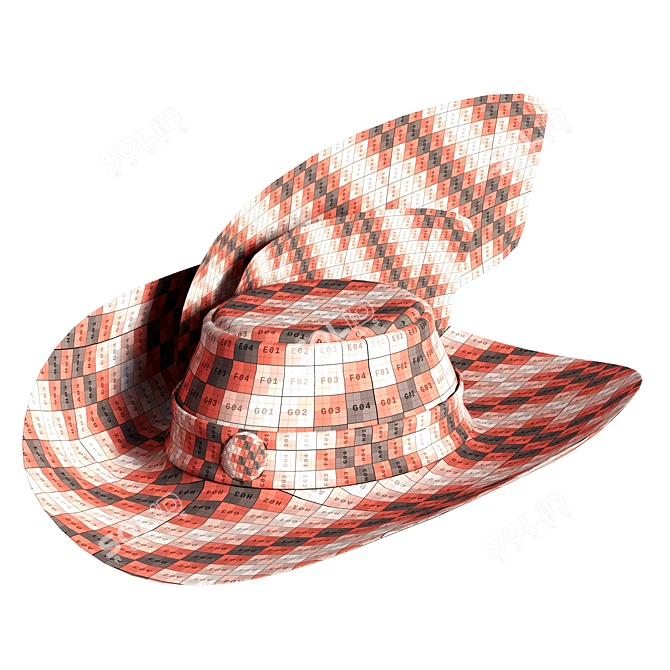 Highly Detailed Pirate Hat 3D Model 3D model image 4