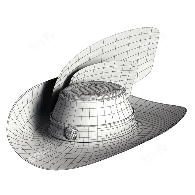 Highly Detailed Pirate Hat 3D Model 3D model image 5