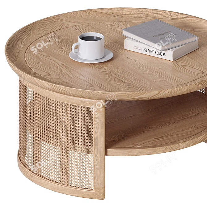 Rattan Base 2-Tier Coffee Table 3D model image 3